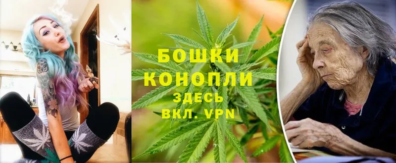 где найти   Пятигорск  Бошки марихуана THC 21% 